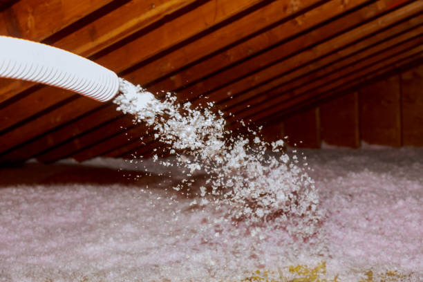 Best Residential Insulation in Clinton, MO