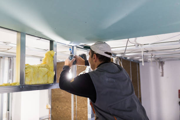Best Commercial Insulation in Clinton, MO