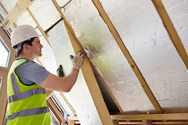 Best Insulation Installation Services in Clinton, MO